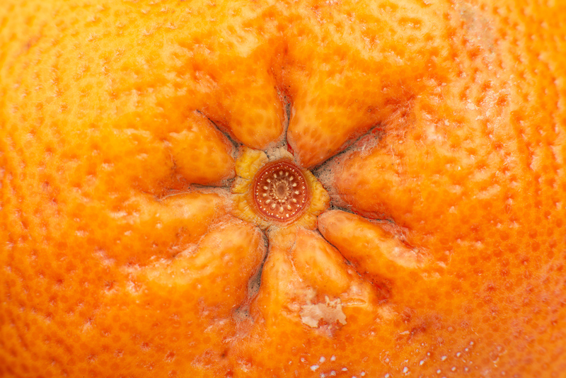 orange with peel on, demonstrating anal fissure with Crohn's disease