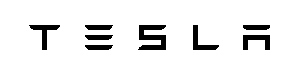 Tesla black word mark