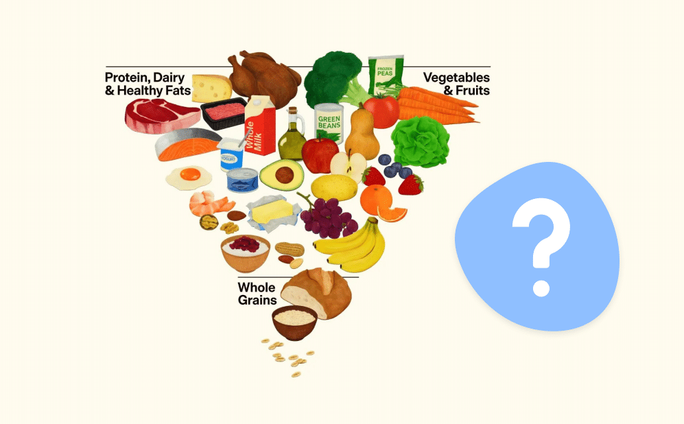 food pyramid hero image