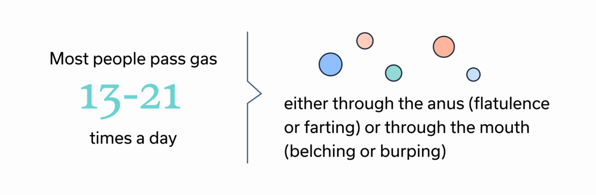 How often most people pass gas