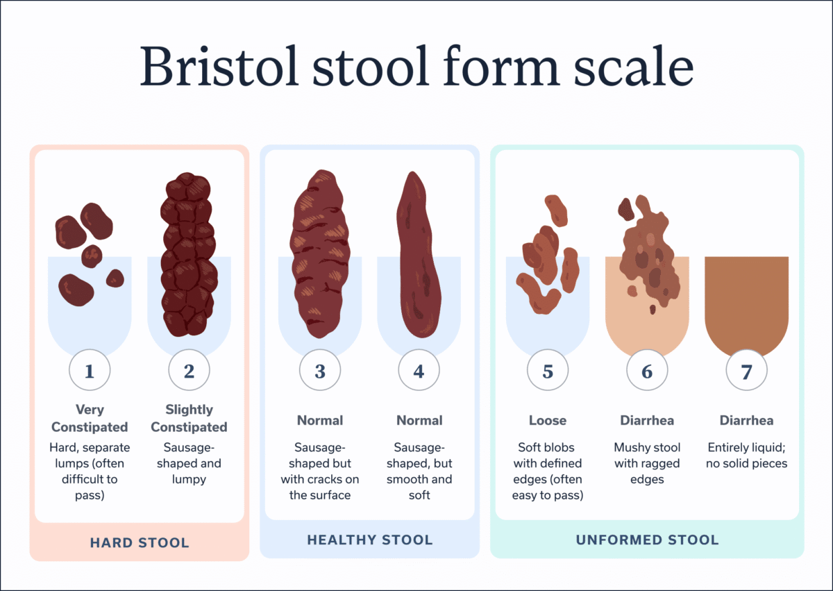 Bristol stool form scale