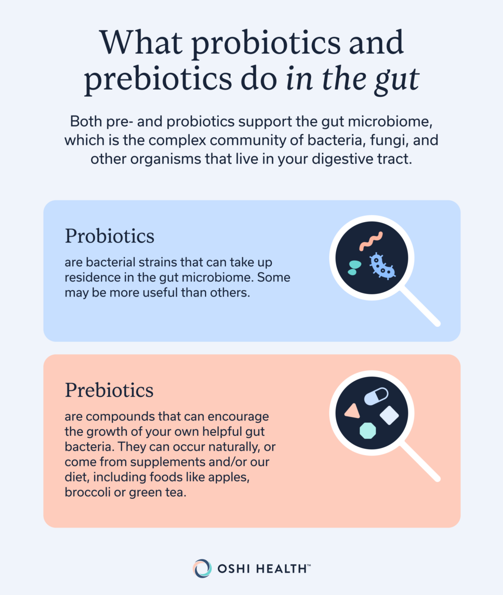 What probiotics and prebiotics do in the gut