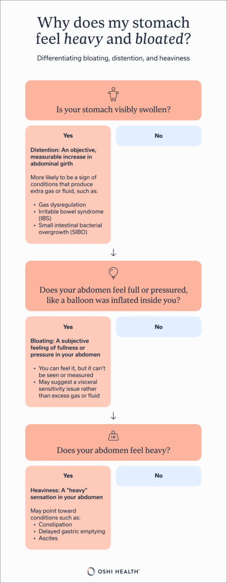 A flowchart-style infographic explains the differences between bloating, distention, and heaviness in the abdomen with brief descriptions of each symptom.