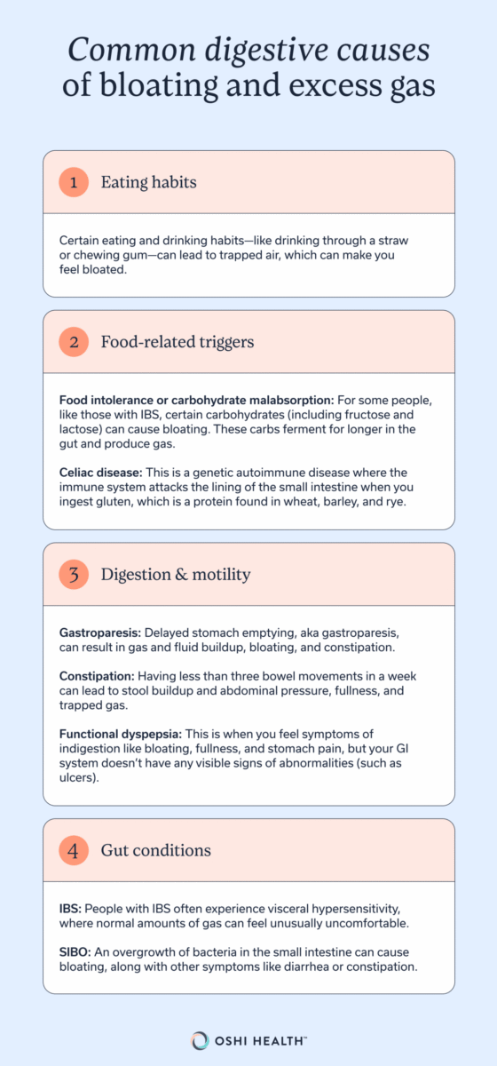 A list-style graphic that explains the common digestive causes of bloating and excess gas.