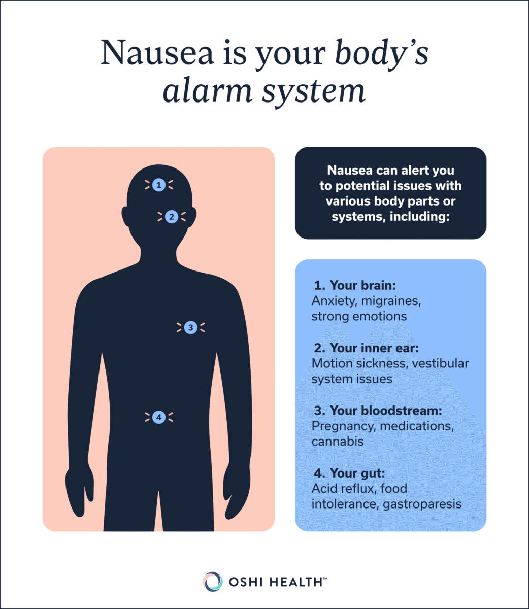 Infographic explaining that nausea can signal issues in different parts of the body, including the brain, inner ear, bloodstream, and digestive system.