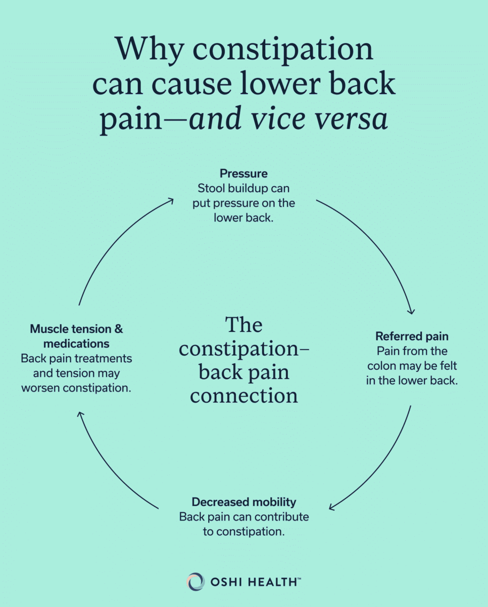 Infographic explaining the relationship between constipation and lower back pain.