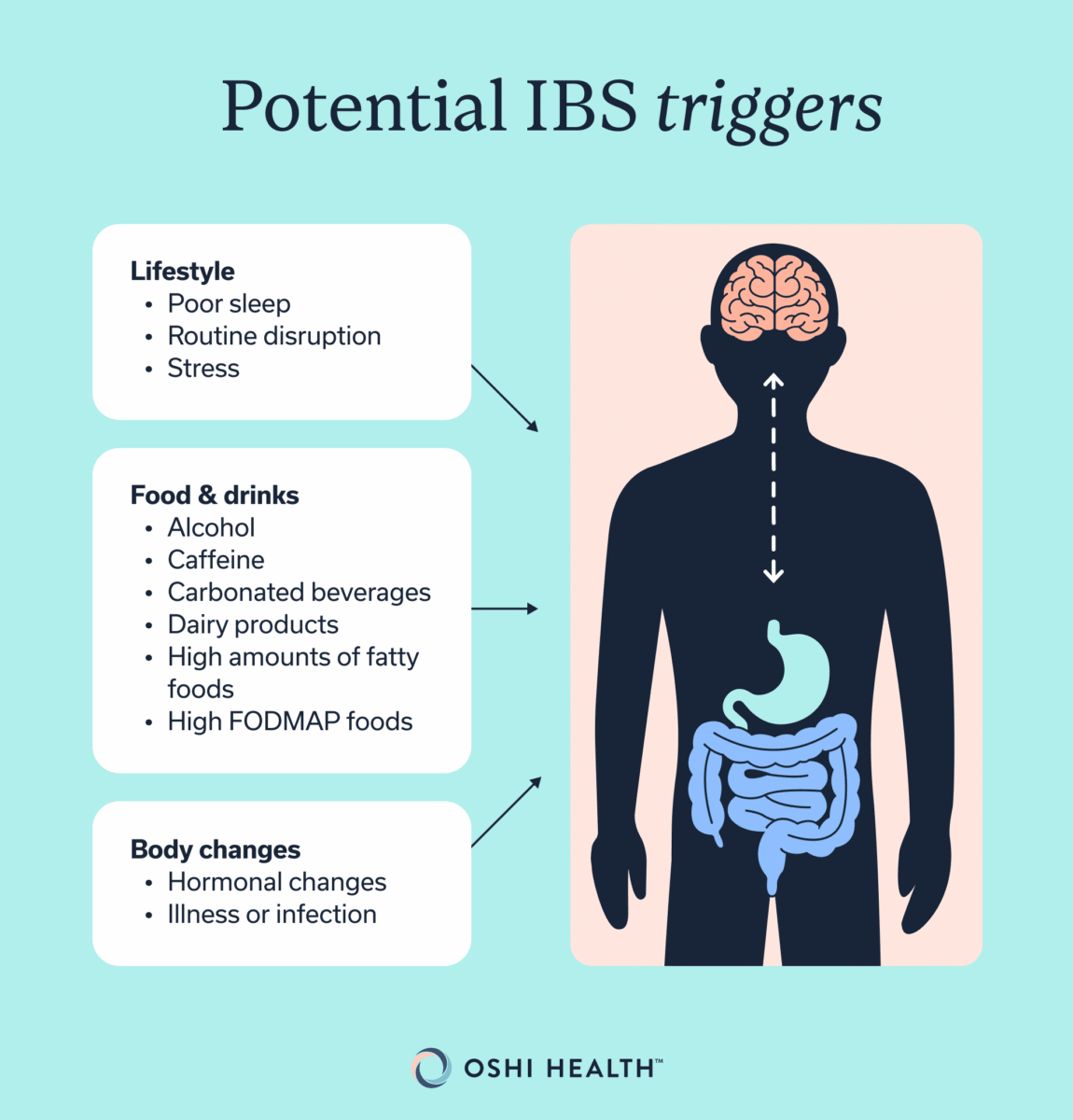 Graphic titled “Potential IBS triggers” showing a human silhouette with the brain, stomach, and intestines highlighted. Potential triggers are grouped into lifestyle factors such as poor sleep, routine disruption, and stress; food and drinks such as alcohol, caffeine, carbonated beverages, dairy, high-fat foods, and high-FODMAP foods; and body changes such as hormonal changes and illness or infection.