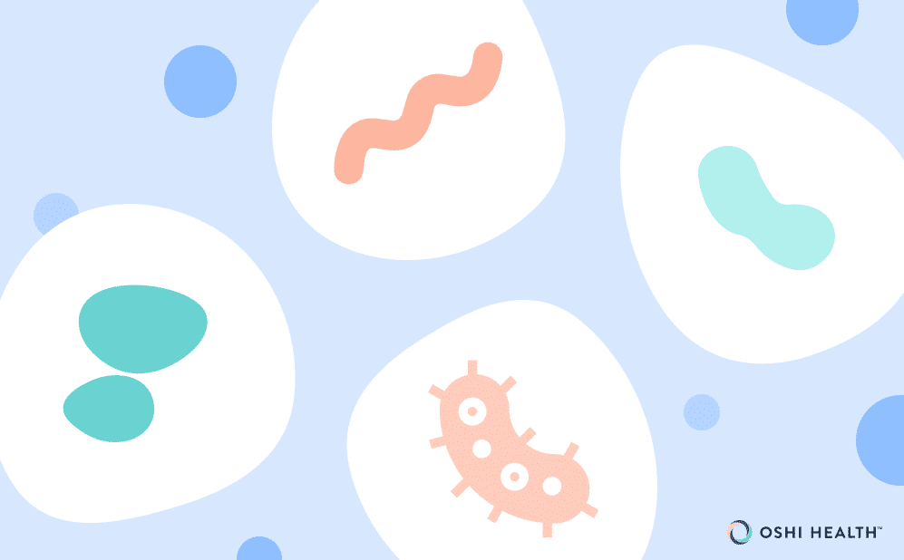 Illustration of colorful bacteria and microorganisms representing the gut microbiome against a light blue background.