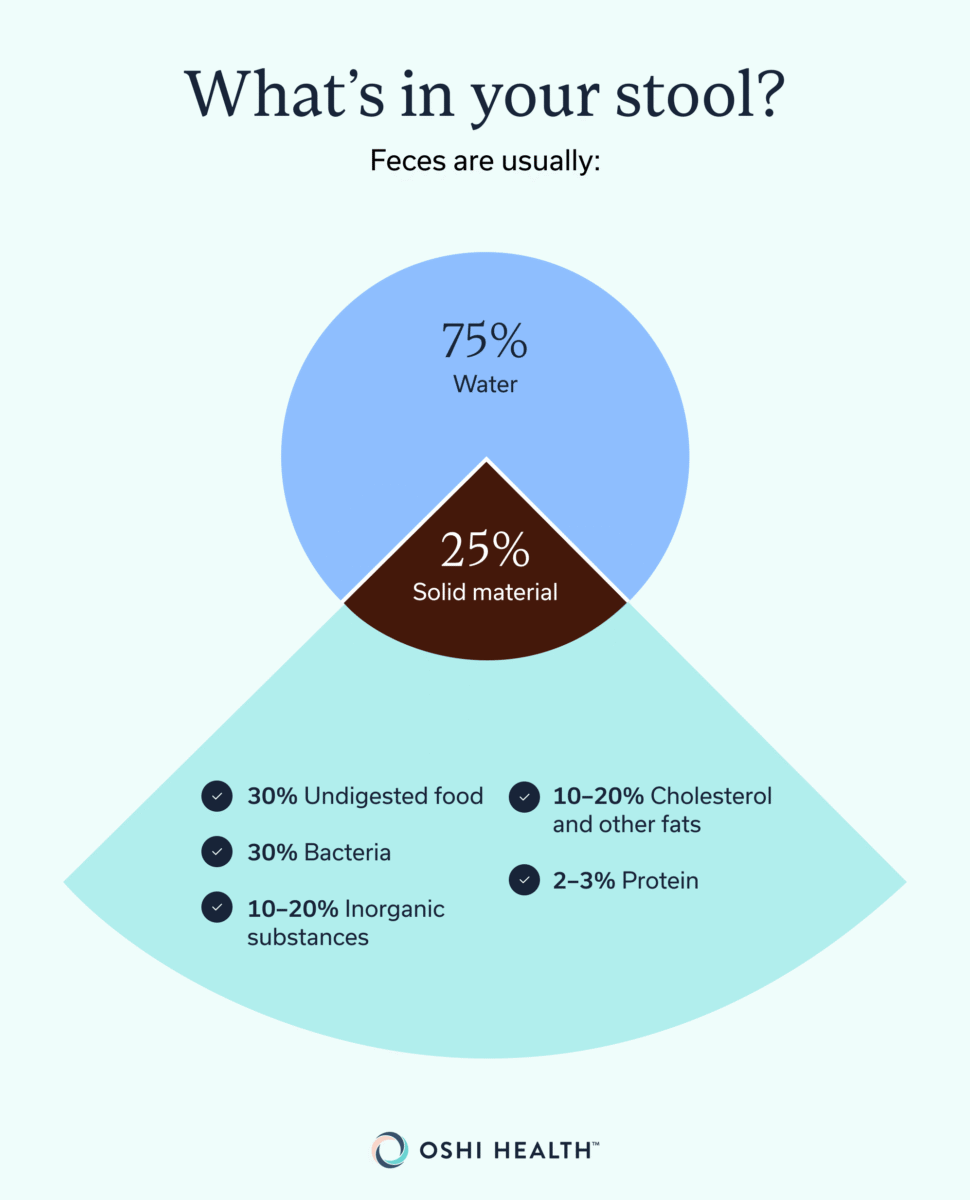 Infographic showing the typical water and solid material composition of feces.